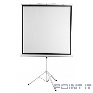 Digis Kontur-D [DSKD-1105] Экран на штативе, формат 1:1, 100", 186x189, рабочая поверхность 180x180, MW