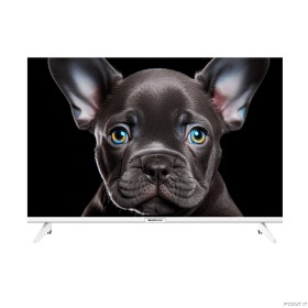 Topdevice 24&quot; TDTV24CS08H_WE/HD/VA/Smart SalyutTV/1-8Gb/BT/белый