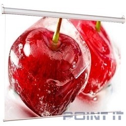 Viewscreen Scroll WSC-1104 Экран ручной (1:1) 160*160 MW